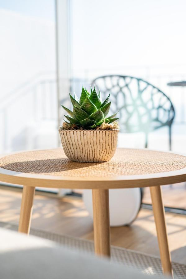Rooftop Funchal I By Madeira Best Apartments Εξωτερικό φωτογραφία